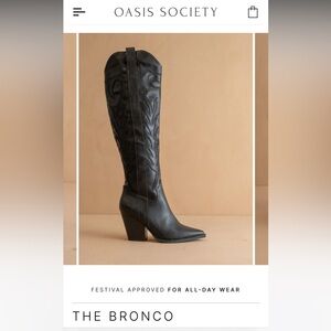 Black Heeled Boots with Pointed Toe and Block Heel